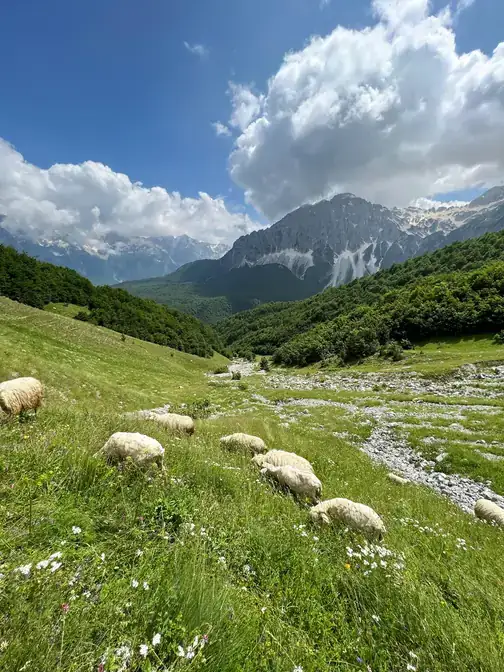 The Valbona valley, Albanian Alps